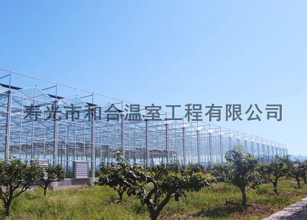 浙江米果果小镇15000平米智能温室项目